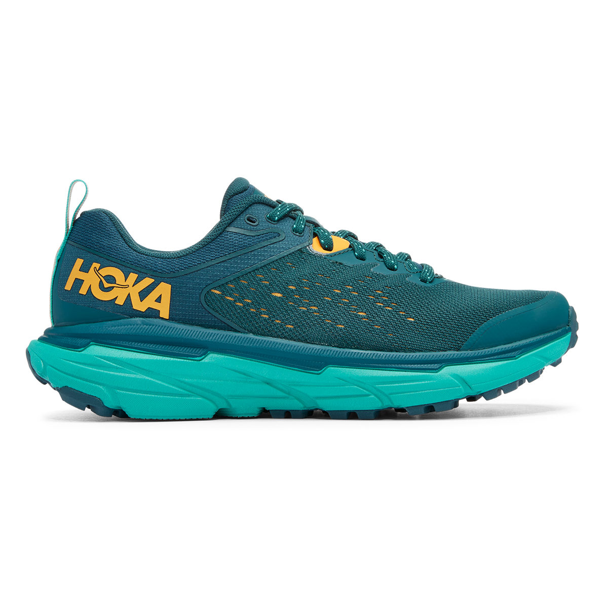 Hoka Tecton X