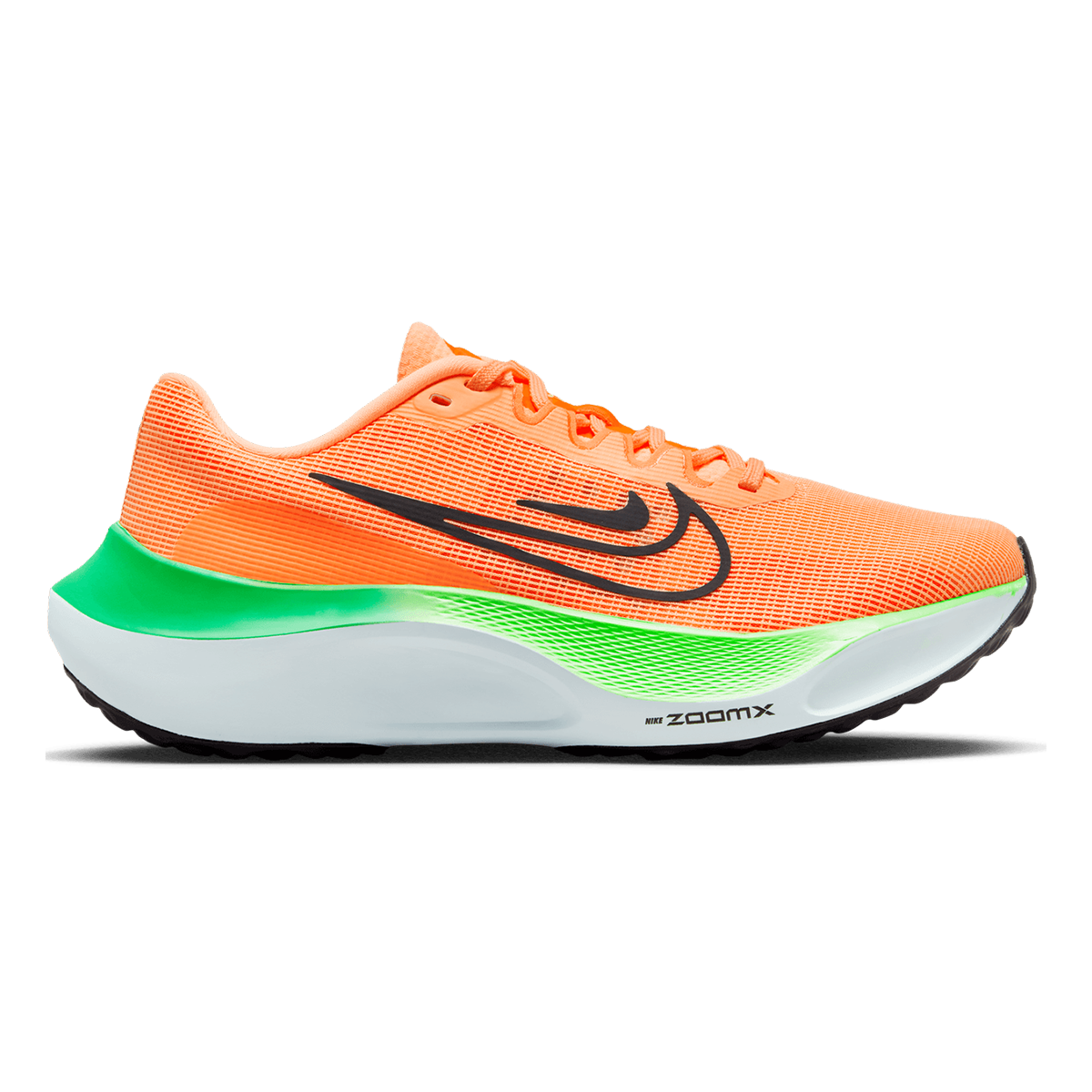 Pegasus turbo or zoom fly best sale